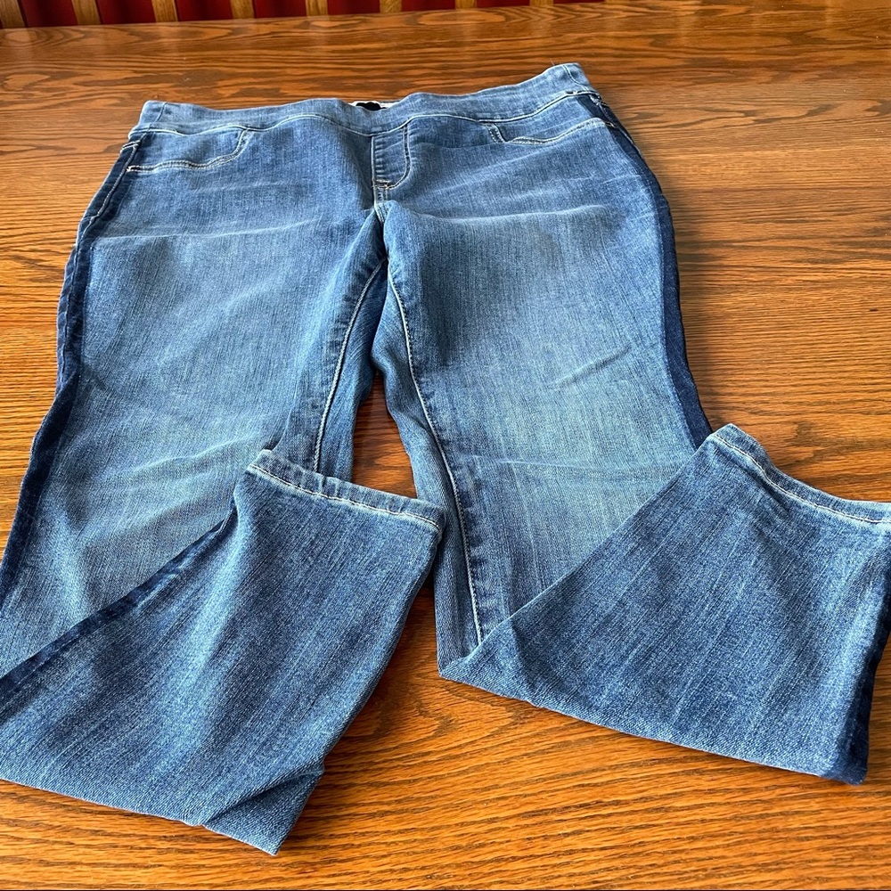 Lane Bryant Jeggings 14p